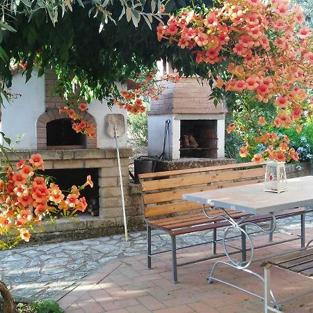 Casa Di Giulia Daire Santa Luce Dış mekan fotoğraf