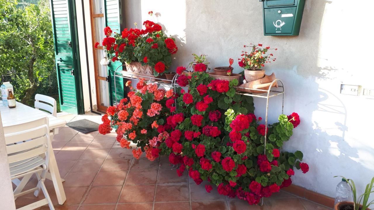 Casa Di Giulia Daire Santa Luce Dış mekan fotoğraf