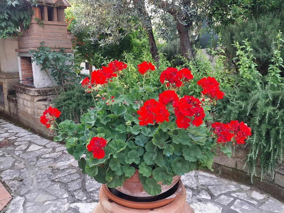 Casa Di Giulia Daire Santa Luce Dış mekan fotoğraf