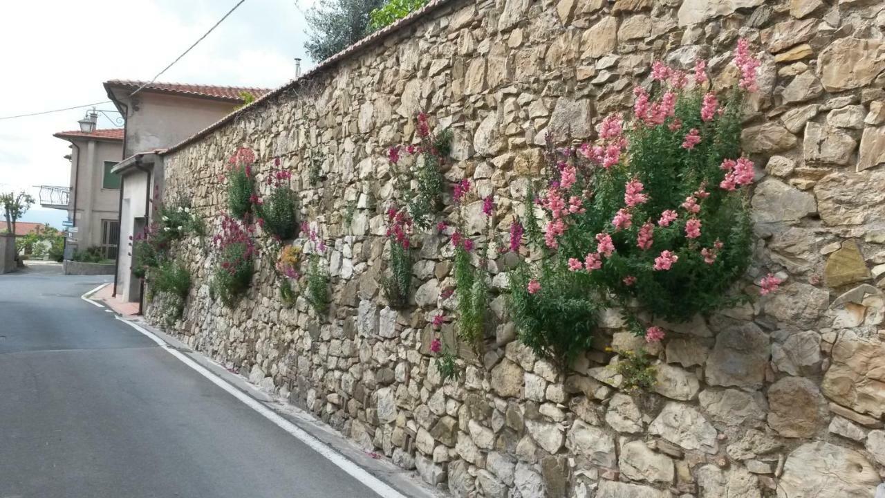 Casa Di Giulia Daire Santa Luce Dış mekan fotoğraf